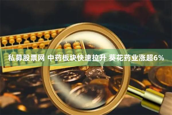 私募股票网 中药板块快速拉升 葵花药业涨超6%