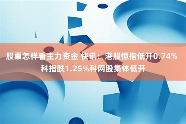 股票怎样看主力资金 快讯：港股恒指低开0.74% 科指跌1.25%科网股集体低开