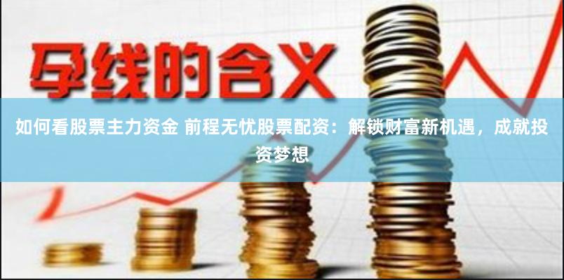 如何看股票主力资金 前程无忧股票配资：解锁财富新机遇，成就投资梦想